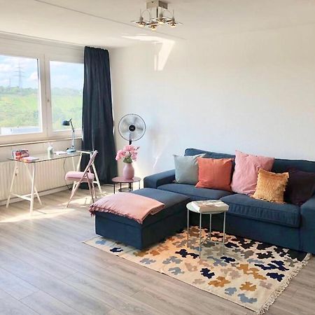 Grosses Appartement Mit Aussichtsbalkon 路德维希堡 外观 照片